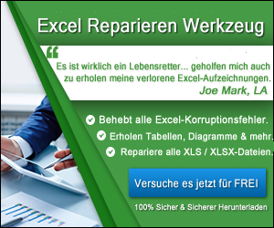 Versuche Excel Reparatur Werkzeug für FREI